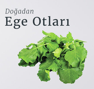 Gargalı Freeze Dried Dondurarak Kurutma